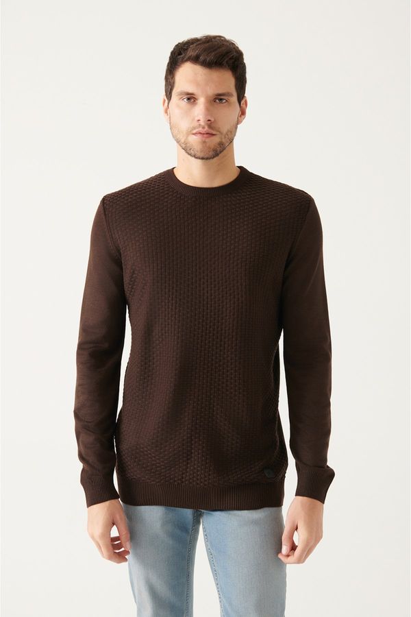 Avva Avva Men's Brown Crew Neck Front Textured Regular Fit Knitwear Sweater