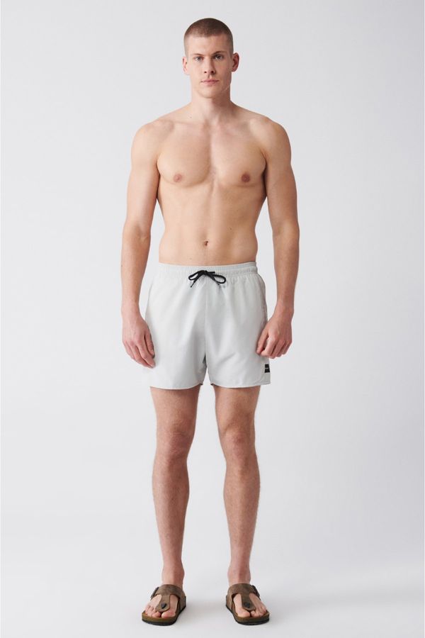 Avva Avva Men's Gray Quick Dry Standard Size Flat Swimwear Marine Shorts