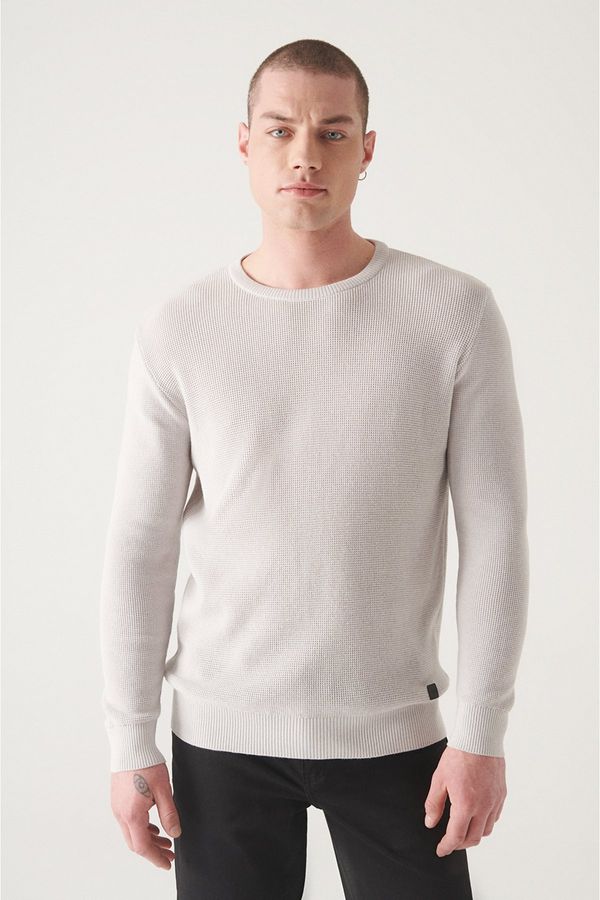 Avva Avva Men's Light Gray Crew Neck Textured Cotton Standard Fit Regular Cut Knitwear Sweater