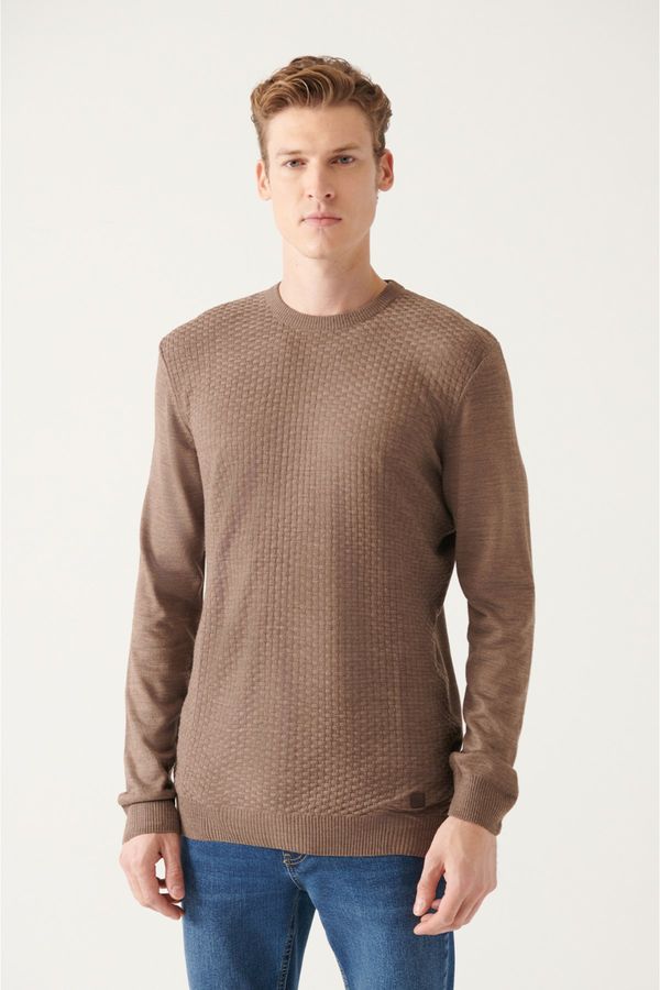 Avva Avva Men's Mink Crew Neck Textured Front Regular Fit Knitwear Sweater
