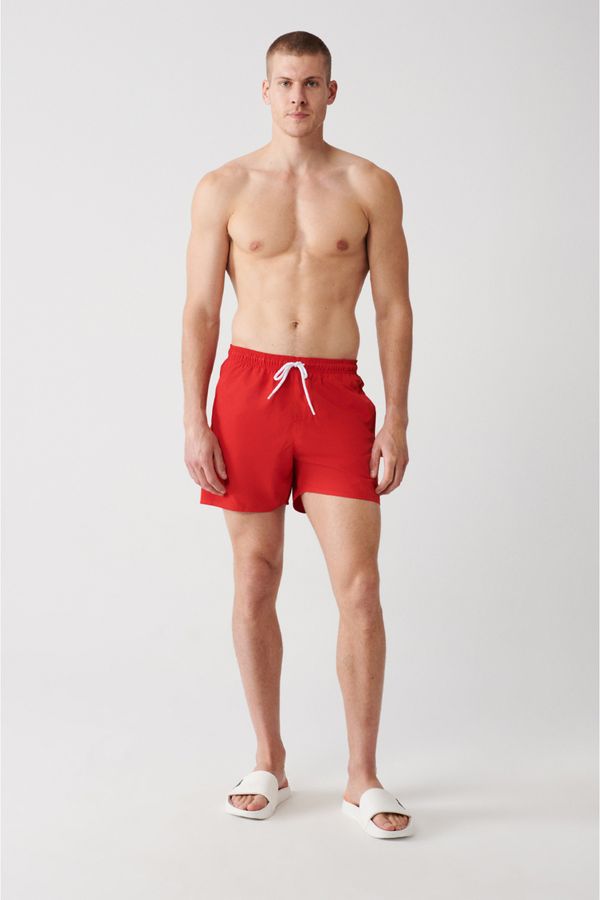 Avva Avva Men's Red Quick Dry Printed Standard Size Swimwear, Seafood Shorts