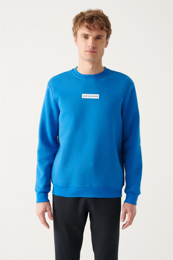 Avva Avva Men's Saxe Blue Crew Neck Printed Regular Fit Sweatshirt