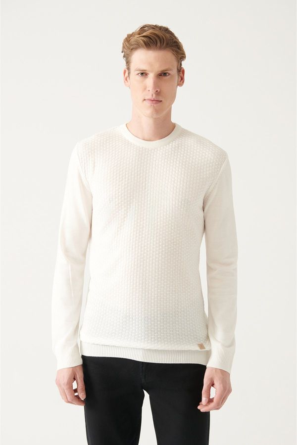 Avva Avva Men's White Crew Neck Front Textured Regular Fit Knitwear Sweater
