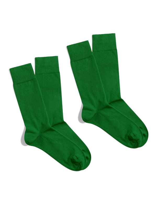 Banana Socks Banana Socks Unisex's 2Pack Socks Essentials Emerald Fields