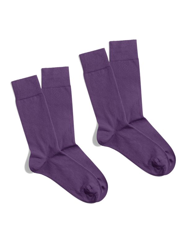 Banana Socks Banana Socks Unisex's 2Pack Socks Essentials Regal Plum