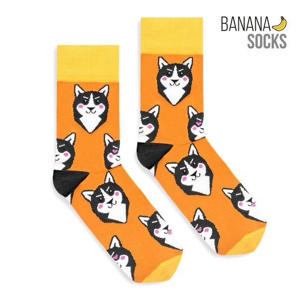 Banana Socks Banana Socks Unisex's Socks Classic Husky