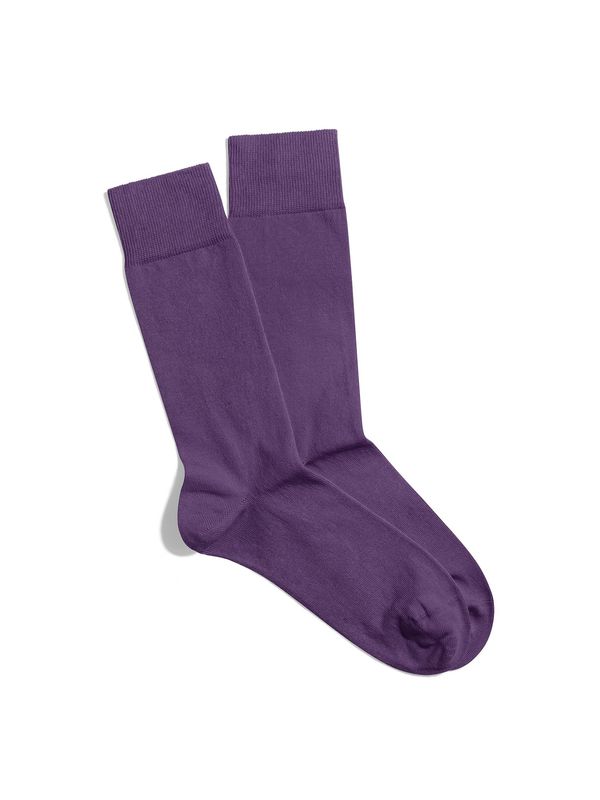 Banana Socks Banana Socks Unisex's Socks Regal Plum