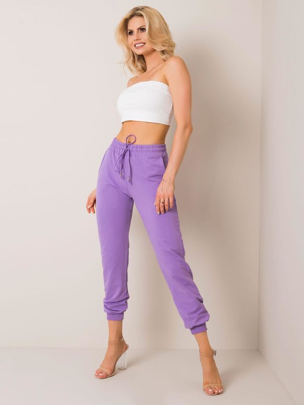 Fashionhunters Basic purple sweatpants