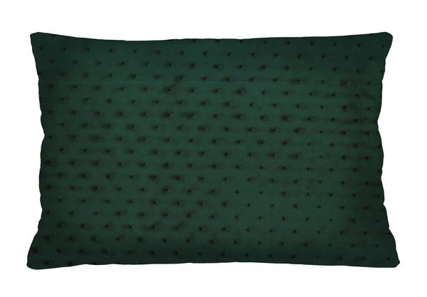 Bertoni Home Bertoni Home Unisex's Rectangular Pillow Royal Zielona