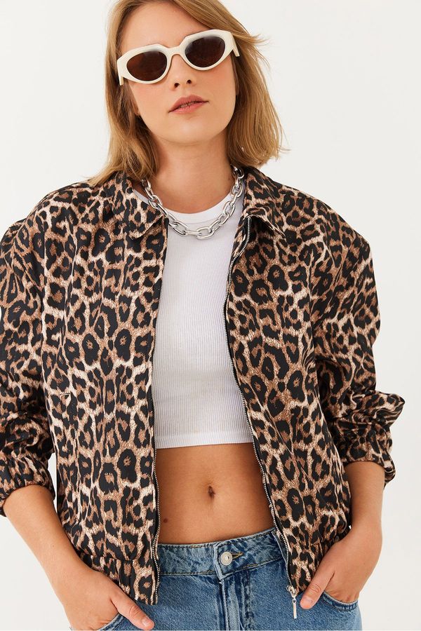 Bianco Lucci Bianco Lucci Women's Bomber Jacket MBMS024