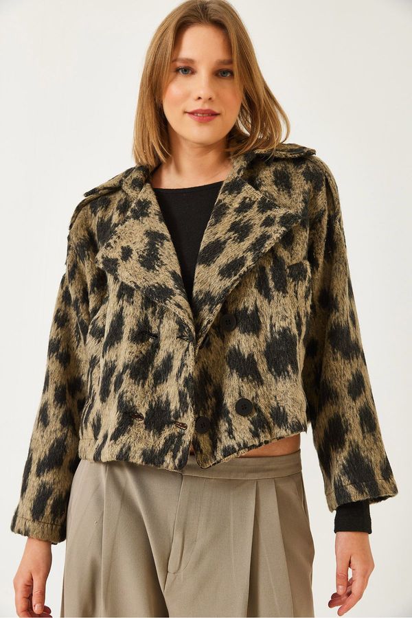 Bianco Lucci Bianco Lucci Women's Lapel Leopard Print Short Stamped Jacket Dc 241014