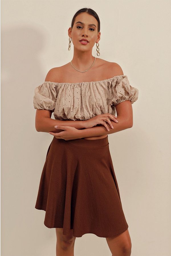 Bigdart Bigdart 1885 Flared Mini Skirt - Brown