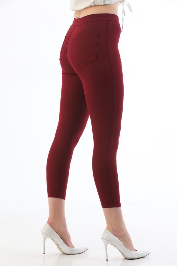BİKELİFE BİKELİFE Claret Red Plus Size High Waist Lycra Gabardine Leggings Trousers.
