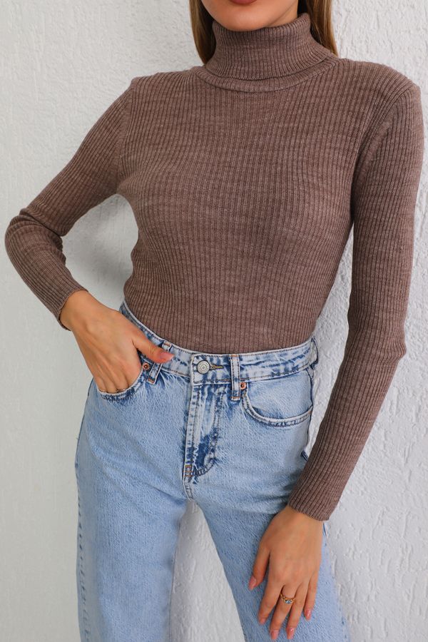 BİKELİFE BİKELİFE Women's Mink Lycra Flexible Neck Knitwear Sweater