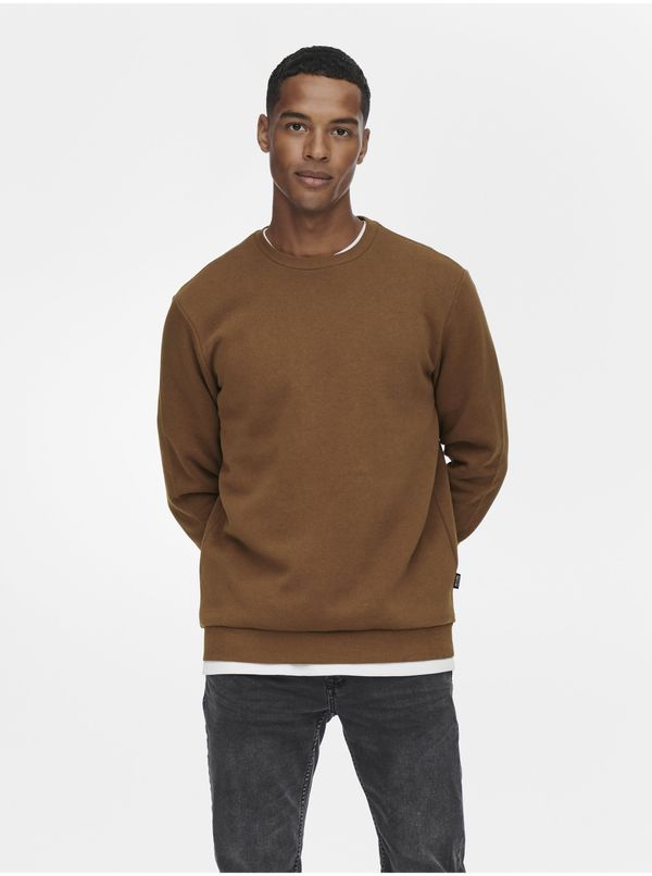 Only Brown men's sweatshirt ONLY & SONS Ceres - Men's