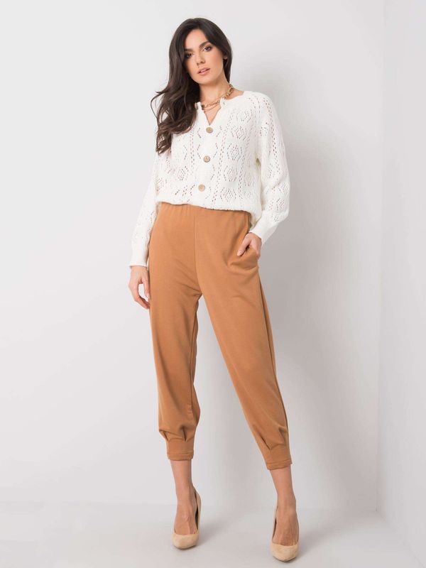 Fashionhunters Brown sweatpants Iria RUE PARIS