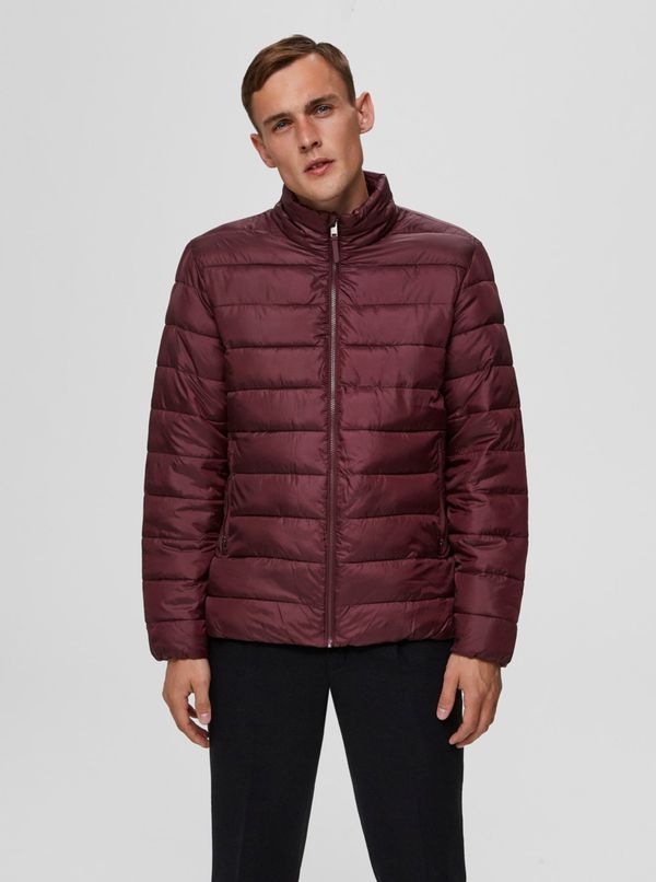 Selected Homme Burgundy Quilted Jacket Selected Homme Plastic - Men