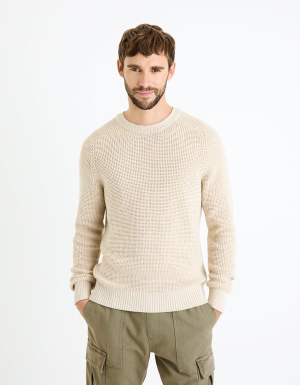 Celio Celio Sweater Fesweet - Men's