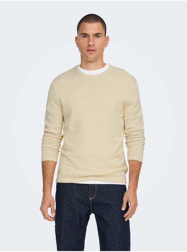 Only Cream men's basic sweater ONLY & SONS Panter - Men's