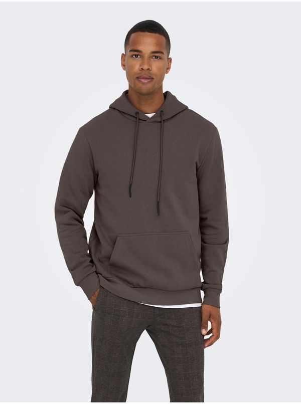 Only Dark brown men's basic hoodie ONLY & SONS Ceres - Men's