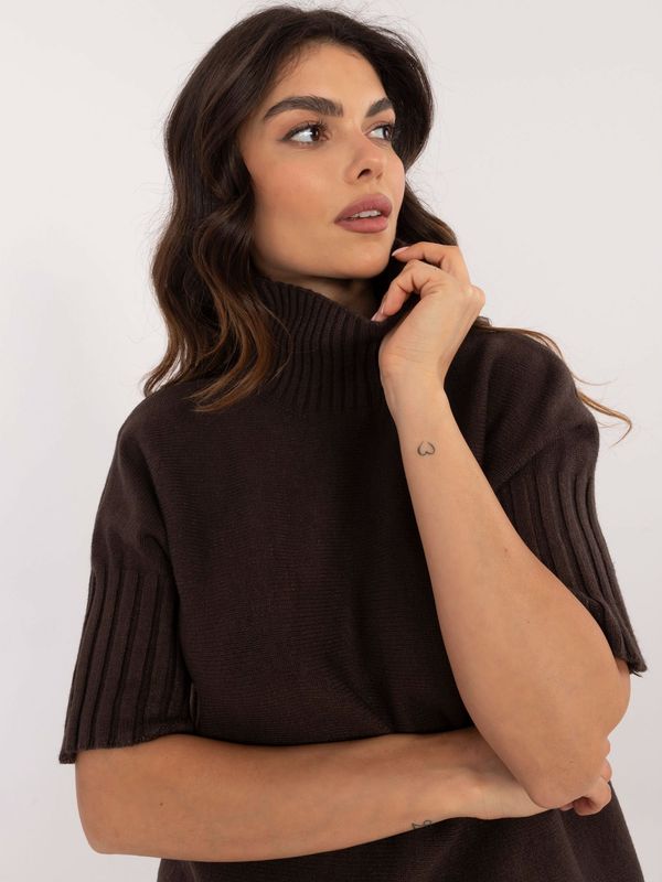 Fashionhunters Dark brown turtleneck sweater