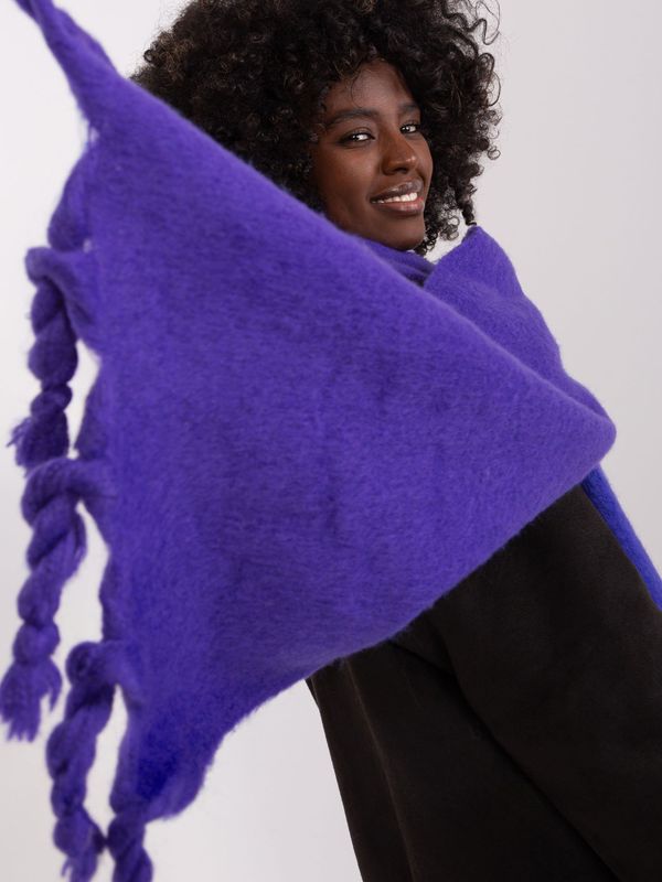 Fashionhunters Dark purple wide women's scarf