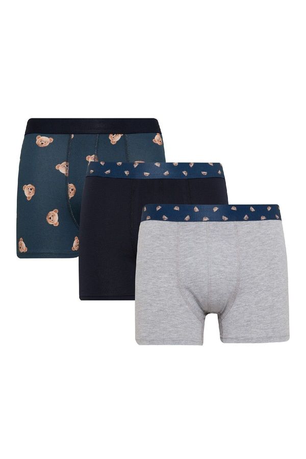 DEFACTO DEFACTO Animal Printed 3-Pack Boxer