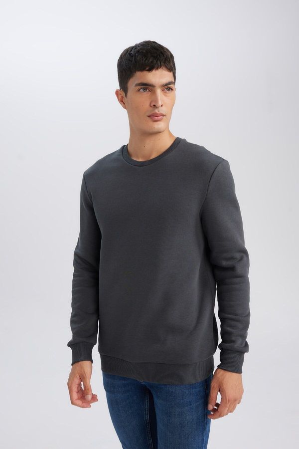 DEFACTO DEFACTO Anthracite 3 Thread Cotton Raised Regular Fit Polar Fleece Crew Neck Thick Sweatshirt