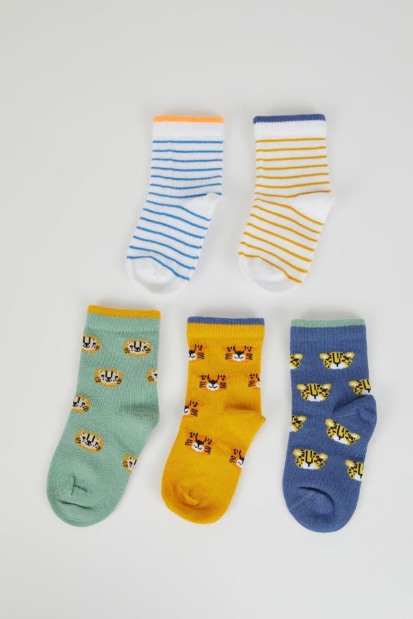 DEFACTO DEFACTO Baby Boy 5-Piece Cotton Long Socks