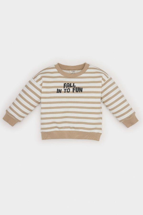 DEFACTO DEFACTO Baby Boy Crew Neck Printed Inside Soft Feather Striped Sweatshirt