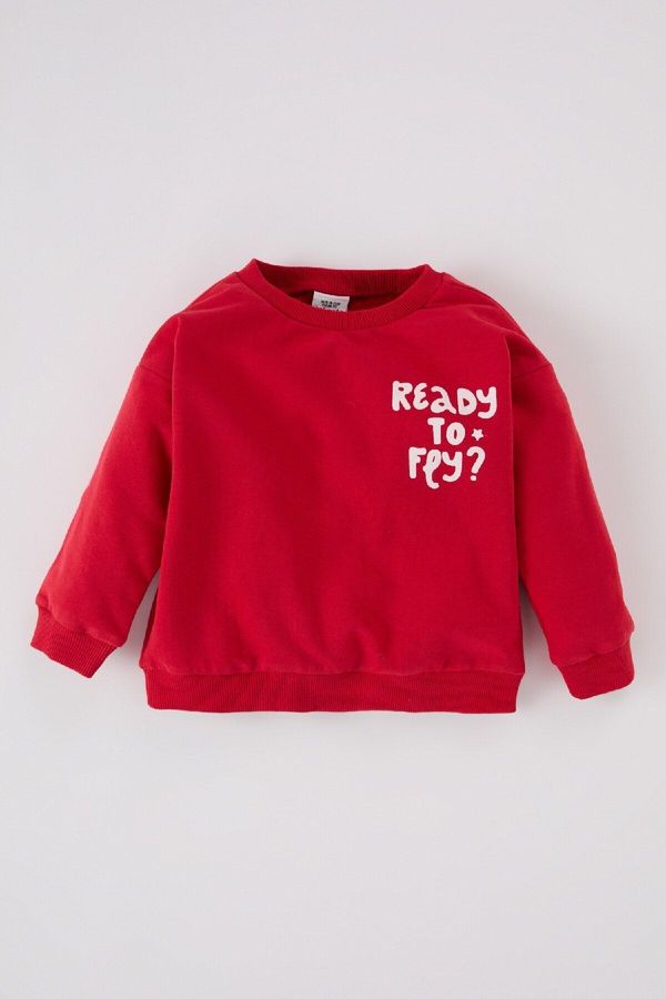 DEFACTO DEFACTO Baby Boy Crew Neck Printed Soft Furry Sweatshirt