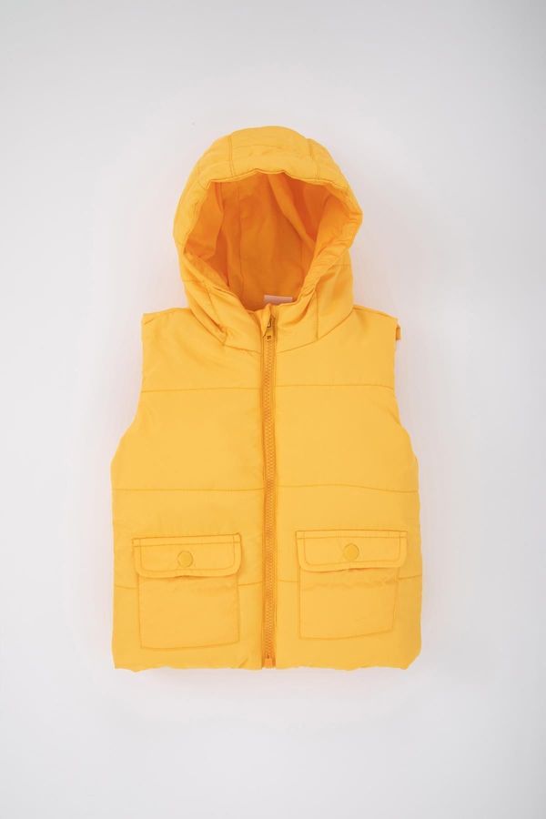 DEFACTO DEFACTO Baby Boy Hooded Puffer Vest