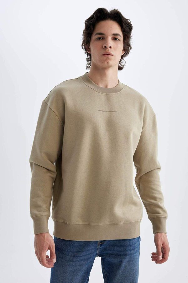 DEFACTO DEFACTO Boxy Fit Crew Neck Printed Sweatshirt