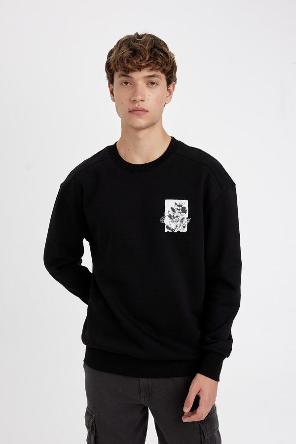 DEFACTO DEFACTO Boxy Fit Crew Neck Printed Sweatshirt