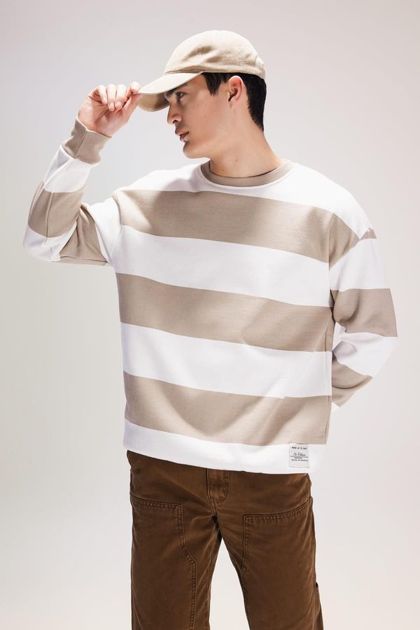 DEFACTO DEFACTO Boxy Fit Crew Neck Striped Sweatshirt