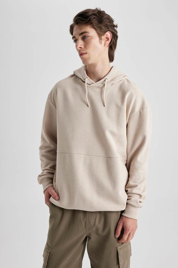 DEFACTO DEFACTO Boxy Fit Hooded Pique Sweatshirt