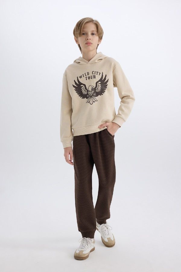 DEFACTO DEFACTO Boy 2-Piece Set Hooded Printed Thick Sweatshirt Elastic Waist Tracksuit Bottoms