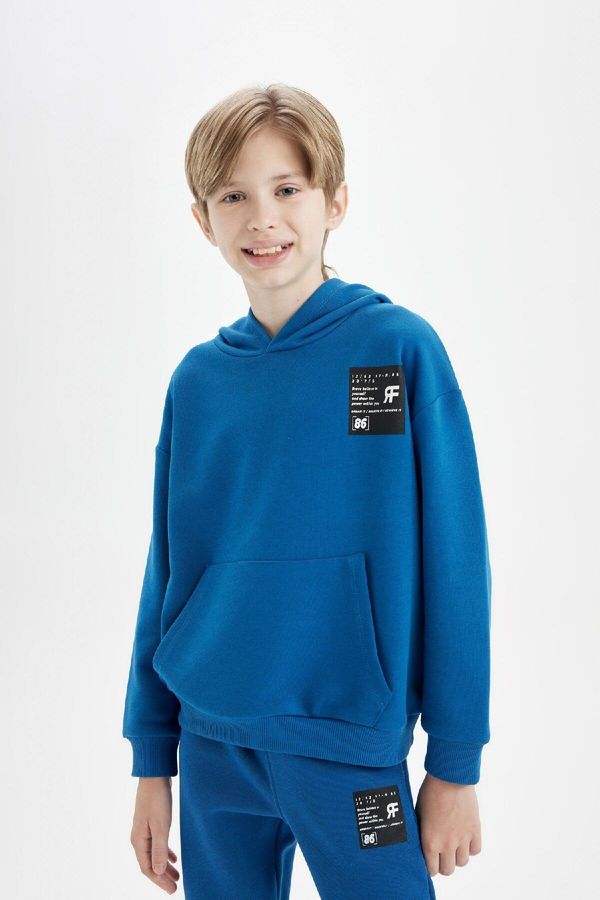 DEFACTO DEFACTO Boy Blue Oversize Fit Wide Pattern Hooded Pocket Thick School Sweatshirt