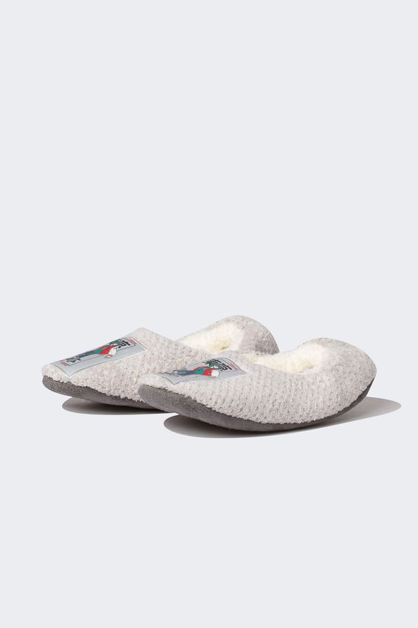 DEFACTO DEFACTO Boy Flat Sole Slip On House Slippers