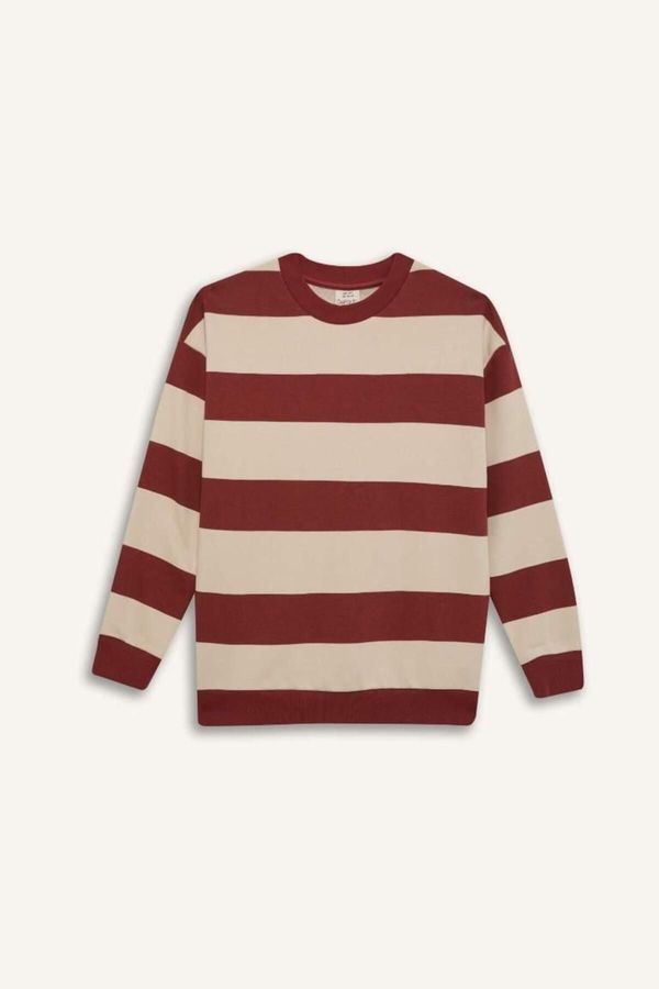 DEFACTO DEFACTO Boy Oversize Wide Fit Crew Neck Striped Sweatshirt