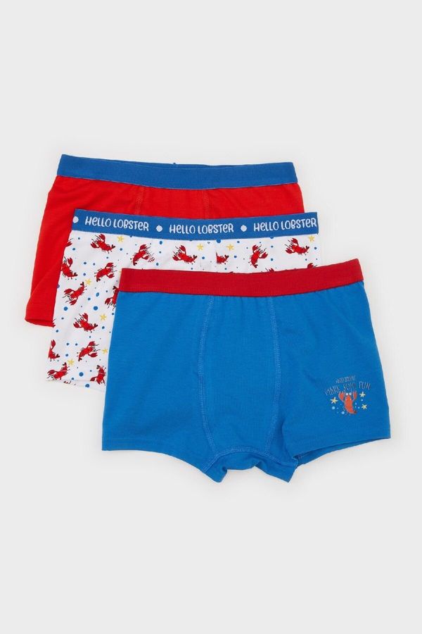 DEFACTO DEFACTO Boy Printed 3-Pack Boxer