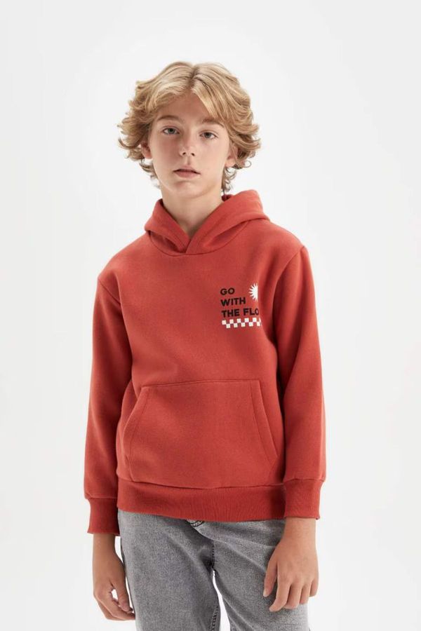 DEFACTO DEFACTO Boy Printed Hooded Thick School Sweatshirt