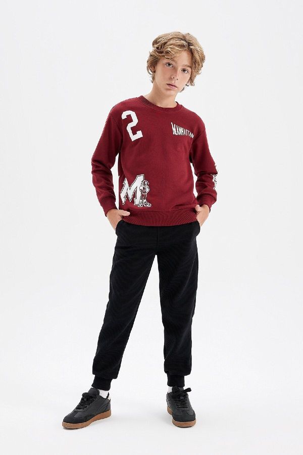 DEFACTO DEFACTO Boy Printed Sweatshirt Tracksuit Bottom 2-Piece Set