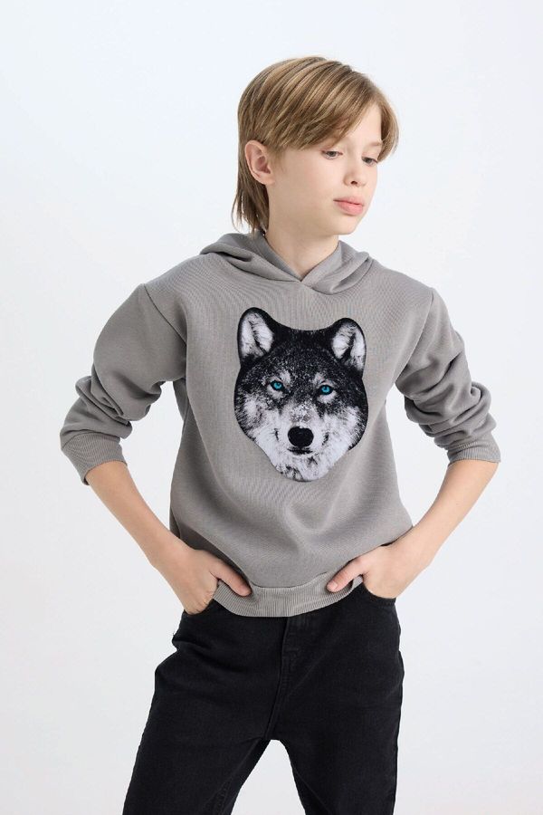 DEFACTO DEFACTO Boy Regular Fit Hooded Printed Sweatshirt