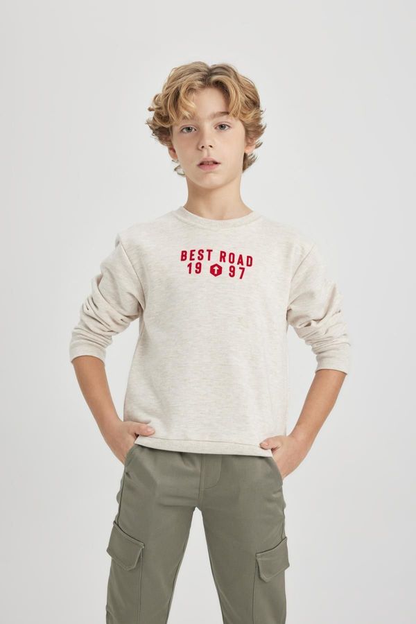 DEFACTO DEFACTO Boy's Crew Neck Printed Thick Sweatshirt