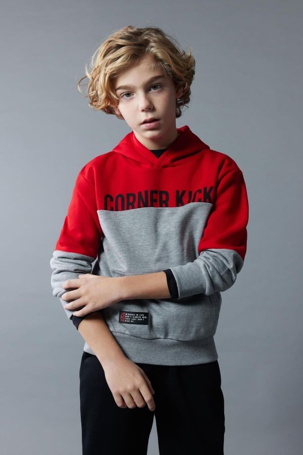 DEFACTO DEFACTO Boy's Hooded Printed Thick Sweatshirt