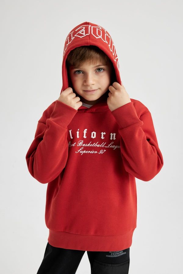 DEFACTO DEFACTO Boy's Hooded Printed Thick Sweatshirt