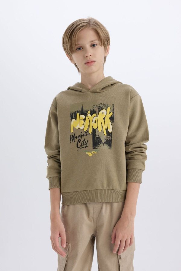 DEFACTO DEFACTO Boy's Hooded Printed Thick Sweatshirt