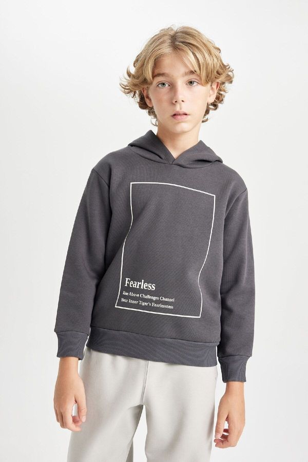 DEFACTO DEFACTO Boy's Hooded Printed Thick Sweatshirt