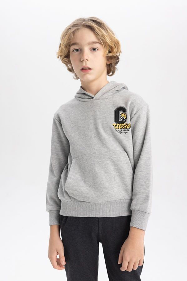 DEFACTO DEFACTO Boy's Printed Hooded Thick Sweatshirt